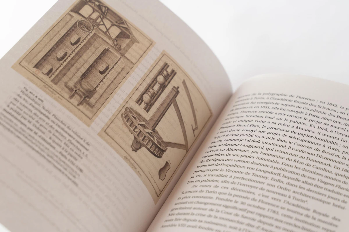 Cartographie Migrante