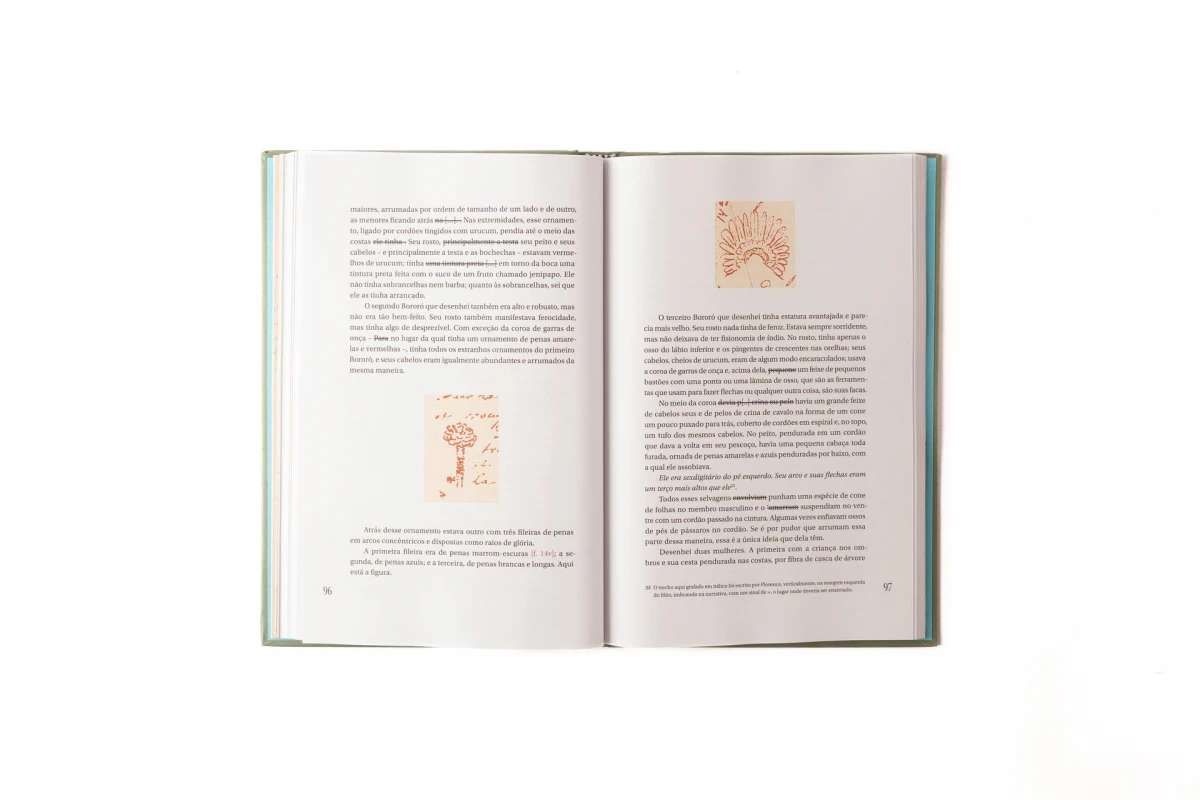 O Livro Segundo de Hercule Florence: relato inédito da Expedição Langsdorff de Cuiabá a Belém (1827-1829)