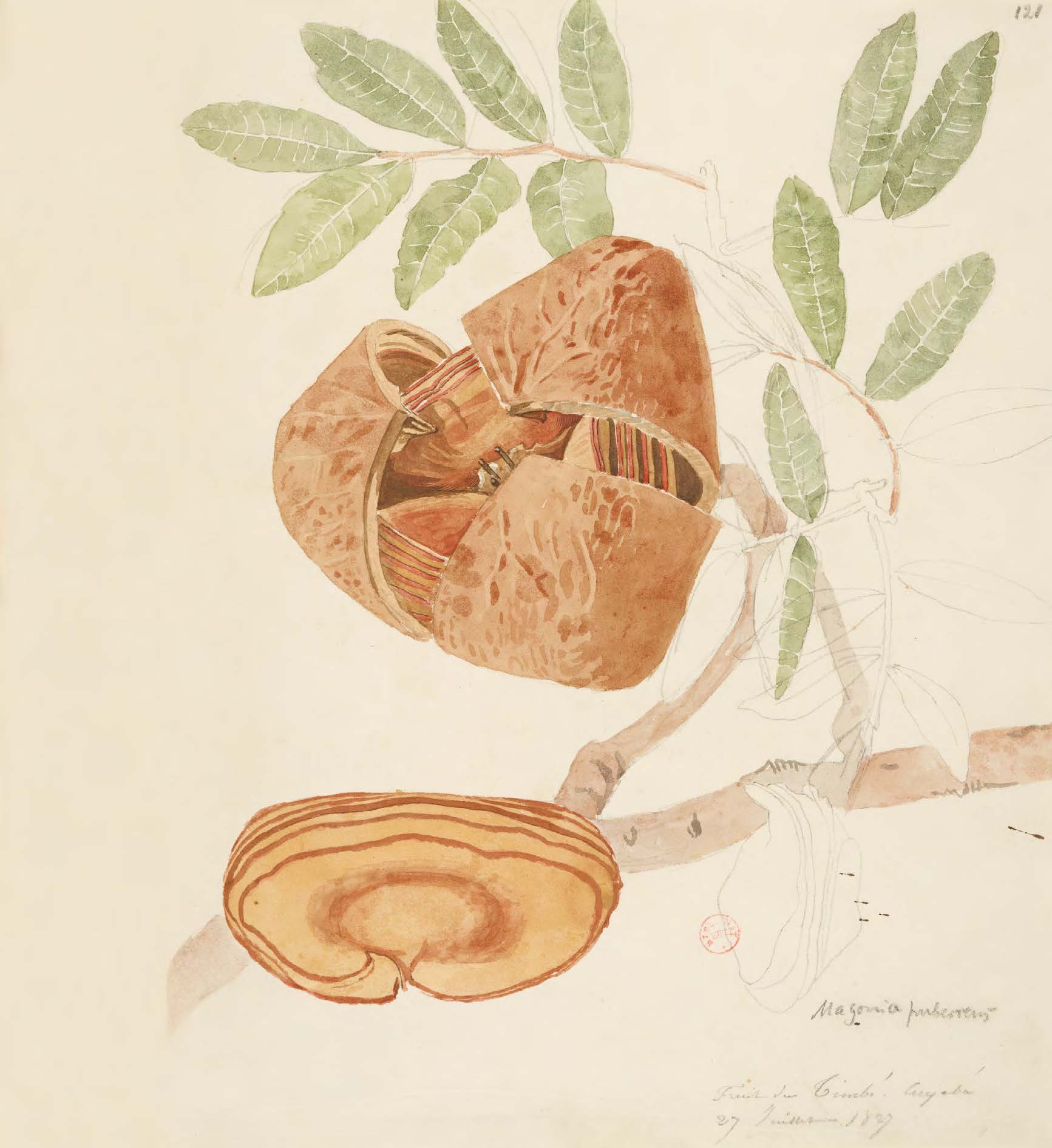 [Caderno de esboços], [1827] Grafite e aquarela sobre papel, 19,3 × 24,7 cm Coleção Bibliothèque nationale de France (Paris)